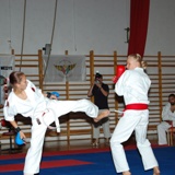 alkotmany_kupa1.jpg