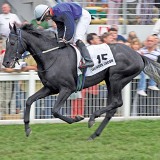 galopp.jpg