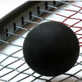 squash1.jpg