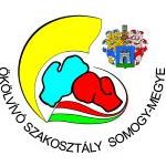 vasas_somogy_lead.jpg