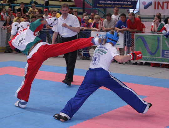 IMG_2866.JPG