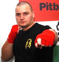 pitbull.JPG