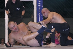 pitbull_kupa3.jpg