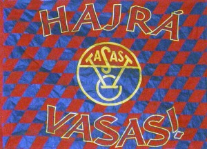 vasas.jpg