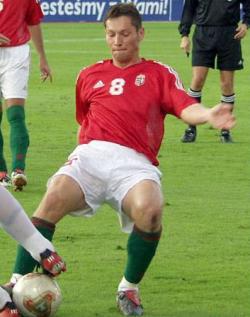 dardai_pal.JPG
