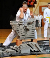 budo001.JPG