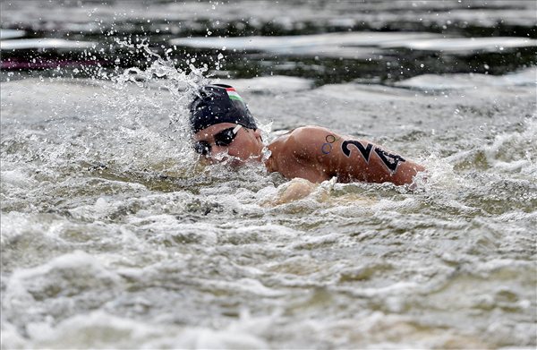 Gercsák Csaba - hosszútávúszás Gercsák Csaba - hosszútávúszás