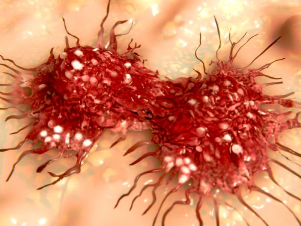 Immunterápiával a daganatok ellen