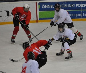 Az U16-os válogatott a szezon utolsó összetartásán vett részt a Tüskecsarnokban Fotó: Szombathelyi Beáta