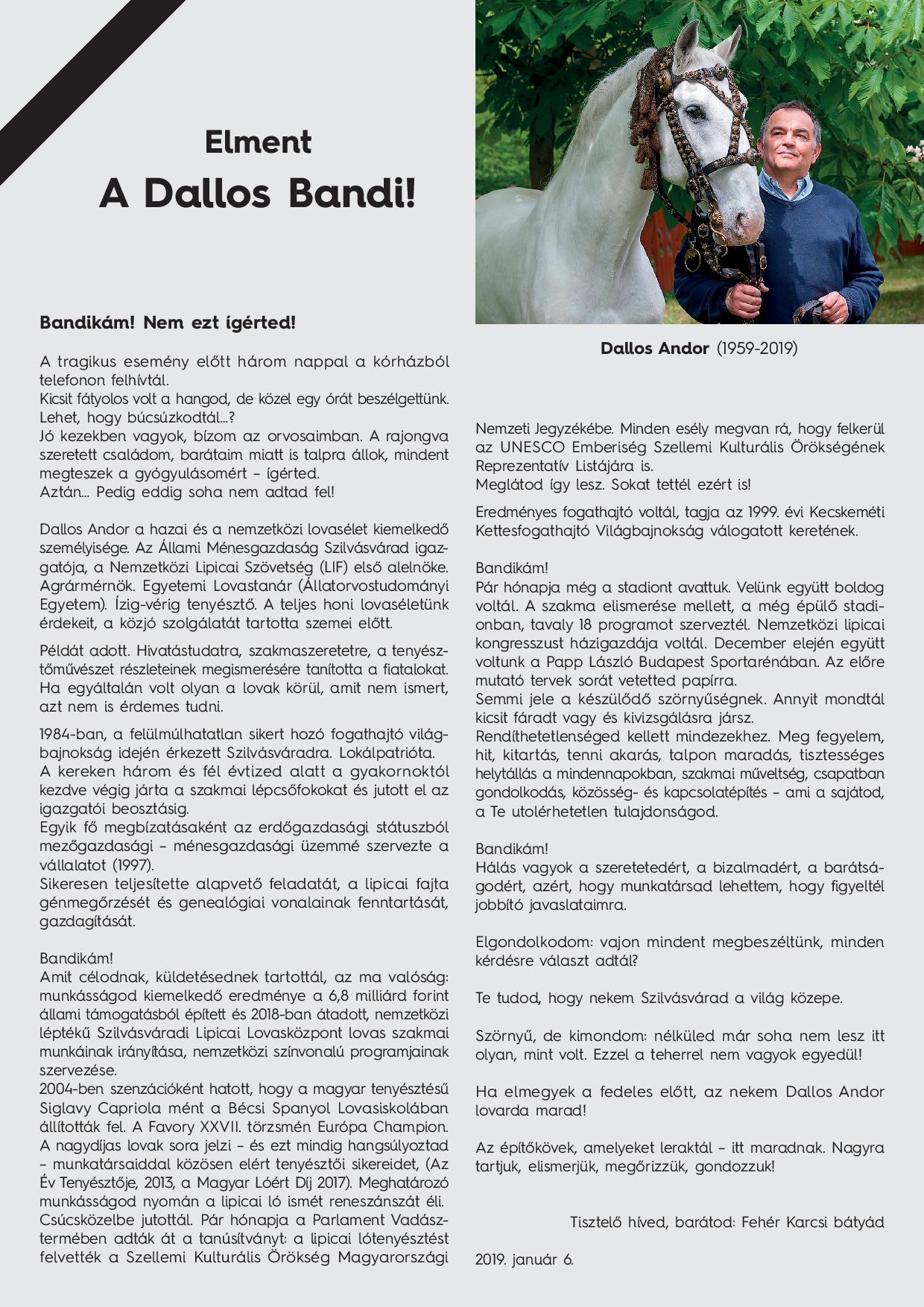 Jav-Elment-A-Dallos-Bandi-page-001